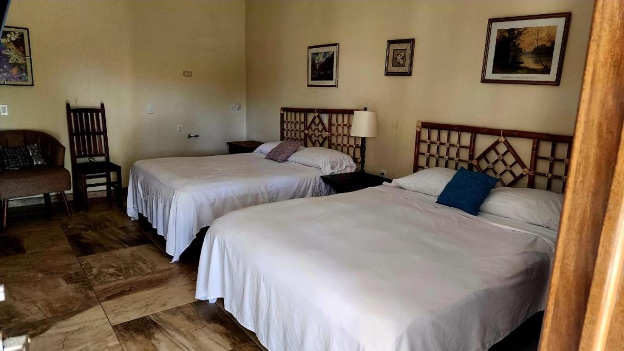 Brisa Bliss Appartement San Juan de Alima Buitenkant foto